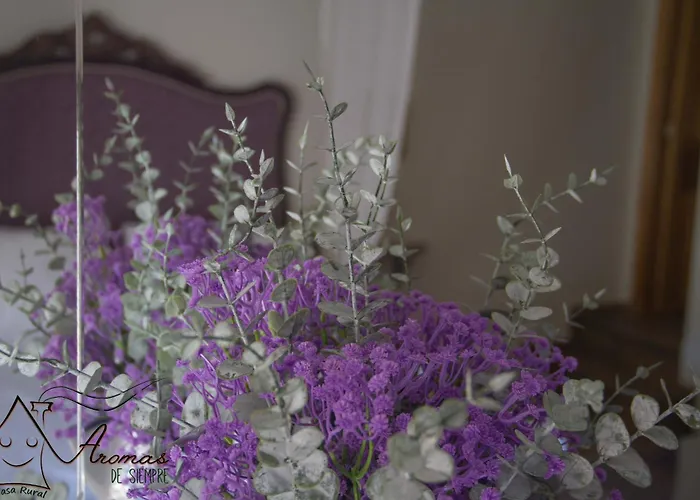 Casa Rural Aromas De Siempre 乡村民宿 *